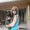 Photo of Rocio E.