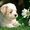 Photo of Fawn S.