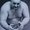 Photo of Hal R.