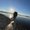 Photo of Altin J.
