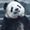Photo of minshen z.