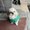 Photo of Panda S.