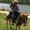Photo of Shannan H.