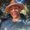 Photo of Carlos P.