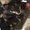 Photo of Kicky L.