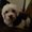 Photo of Missy R.