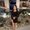 Photo of Kathy T.