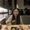 Photo of Rachel Z.