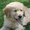 Photo of Ted L.