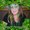 Photo of Gail P.