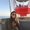 Photo of Christina T.