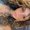 Photo of Cyanne R.