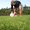 Photo of Qype User (traine…)
