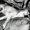 Photo of Dutchess Love Jasper S.