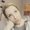 Photo of Katelyn M.