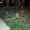 Photo of Kevin` M.