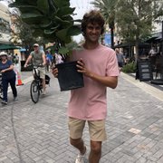 google avatar