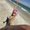 Photo of Maree S.
