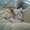 Photo of Melisa M.