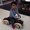 Photo of Cityvox User (romual…)