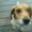 Photo of Qype User (marcoq…)