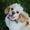 Photo of Geoffrey E.