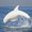 Photo of Billy T.