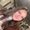 Photo of Shoshana N.