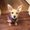 Photo of SelenaRose2013 ..