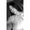Photo of Giovanna R.