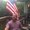 Photo of Dan S.