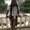 Photo of Nika A.