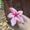 Photo of Mia C.