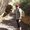 Photo of Jon N.