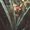 Photo of Jennifer M.