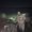 Photo of Shayan K.