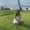 Photo of Anushik P.