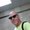 Photo of Joe N.