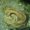 Photo of Qype User (PinkyR…)