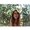 Photo of Lianne D.