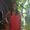 Photo of Danesha A.