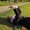 Photo of Bente D.