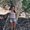 Photo of Brittney K.