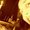 Photo of Radha R.
