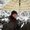 Photo of Qype User (Meppe…)