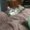 Photo of Dawn T.