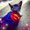 Photo of Cat L.