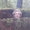 Photo of Liam K.