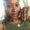 Photo of LaTasha D.