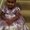 Photo of Ron K.